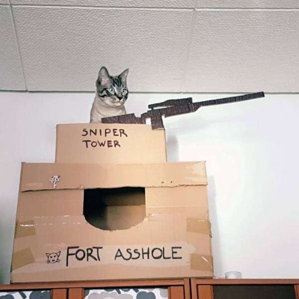 fort ahole.