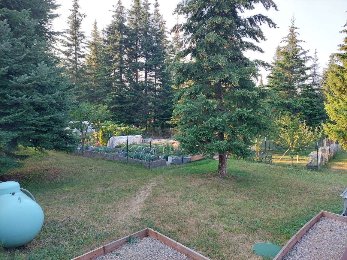 Garden Summer2022_1.