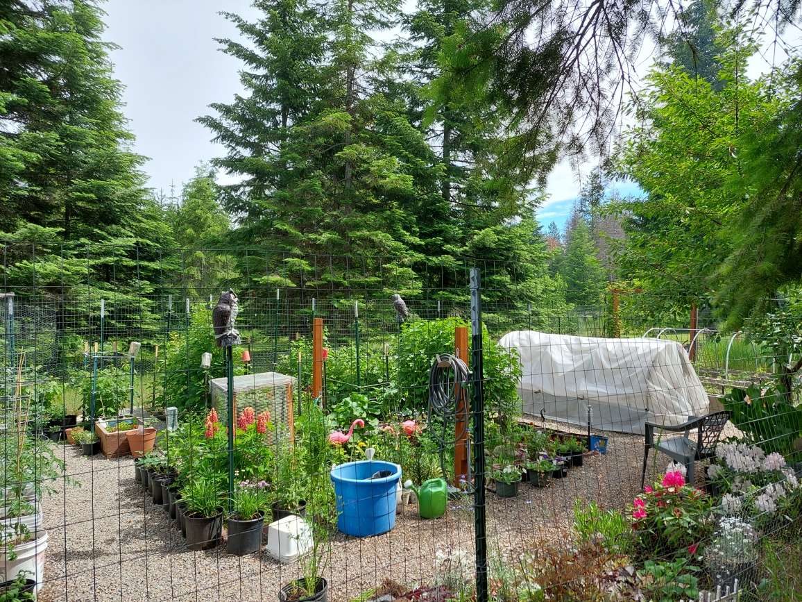 Garden summer2022_2.