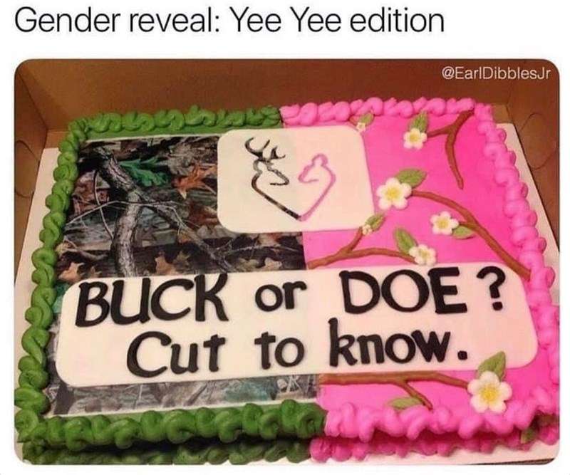 gender-reveal-yee-yee-edition-sa-earldibblesjr-buck-or-doe-cut-know-cre.