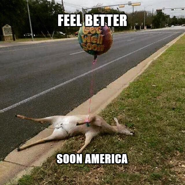 Get Well Soon .
