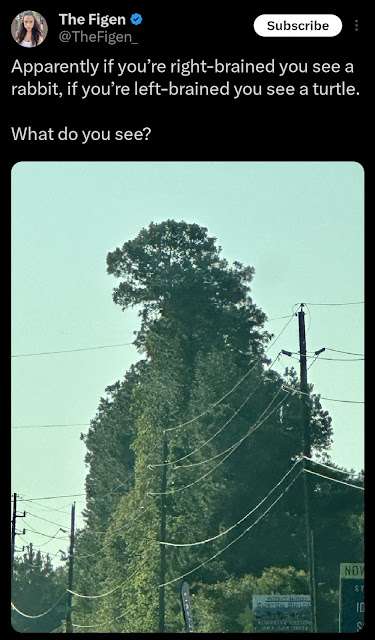 Godzilla.