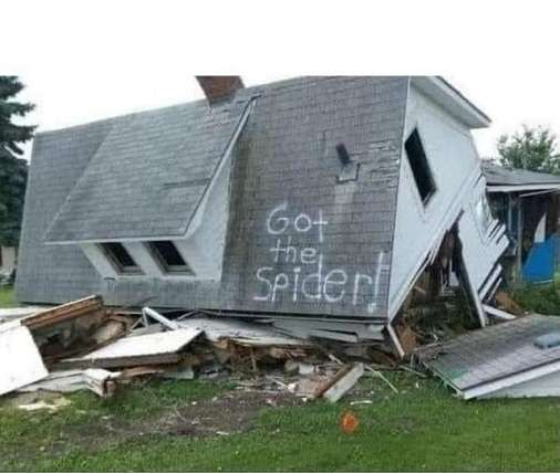 Got-the-spider.
