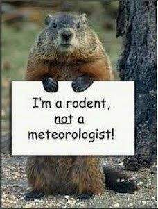 Groundhog.