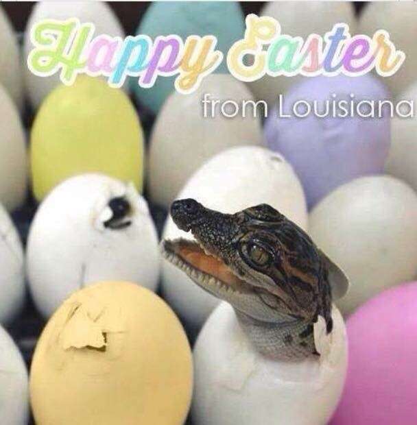 Happy Easter.