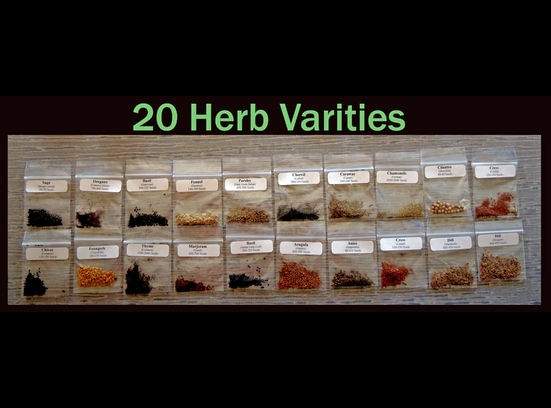 Herb Seeds Image.