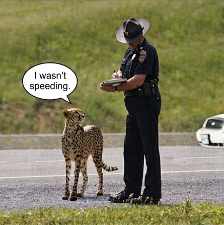 I-wasn-t-speeding.