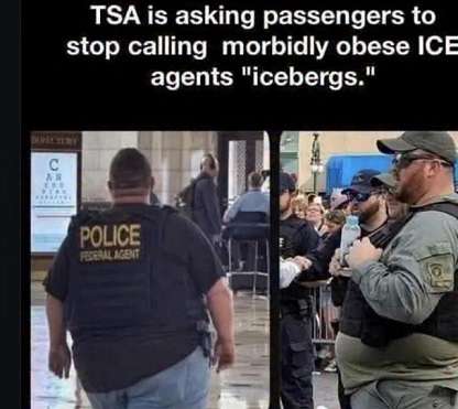 Icebergs.
