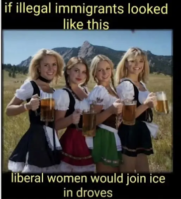 illegal-immigrants.