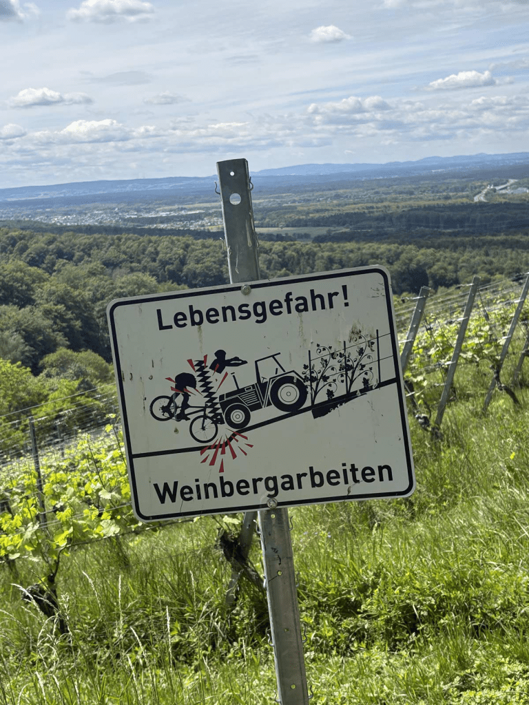 image-106 (2).