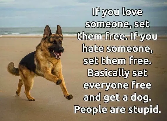 image-106 (3).