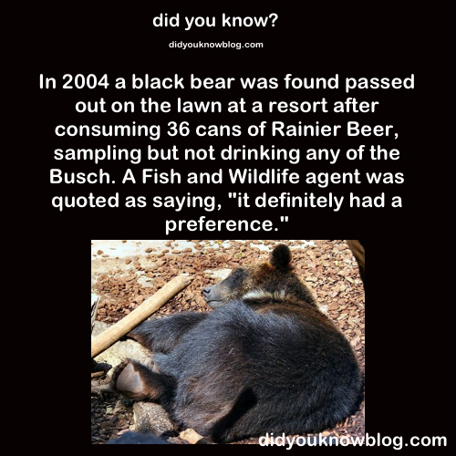 image-211.
