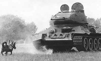 image.php?&aid=1322&anti-tank-dog.