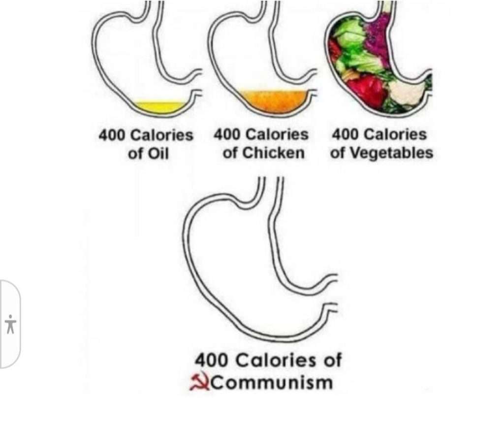 image0000025-1-1024x879.