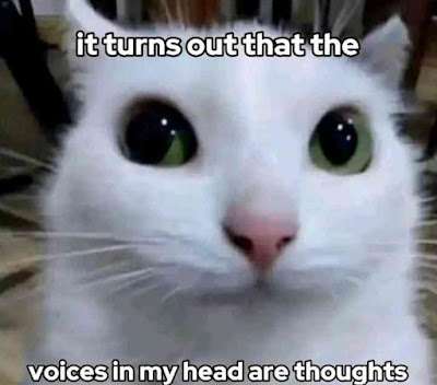 image1787172822.