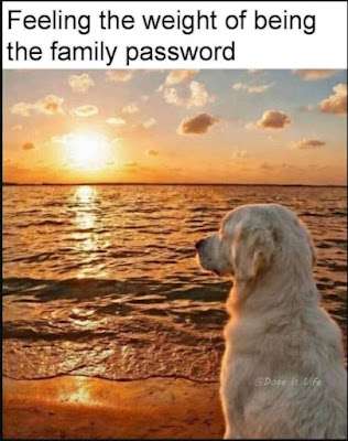 image1788908154.