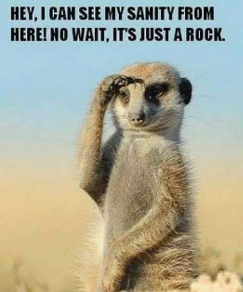 img - 2021-03-23T224850.696.