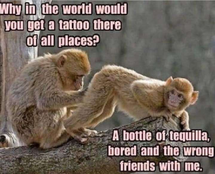 img - 2021-07-04T215559.076.