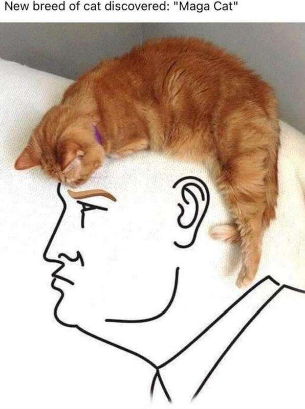 img - 2022-10-11T225633.415.