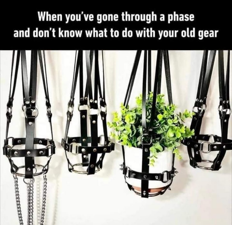 img - 2023-04-16T215324.388.