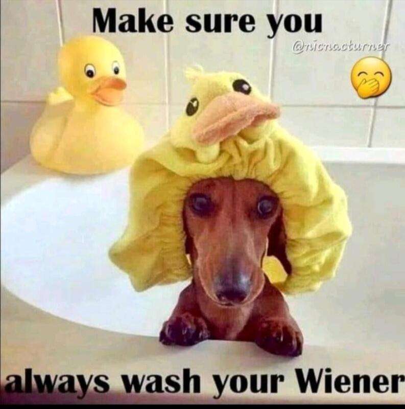 img - 2023-05-05T230534.563.