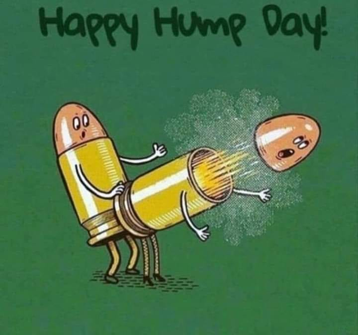 img - 2023-06-07T074412.182.