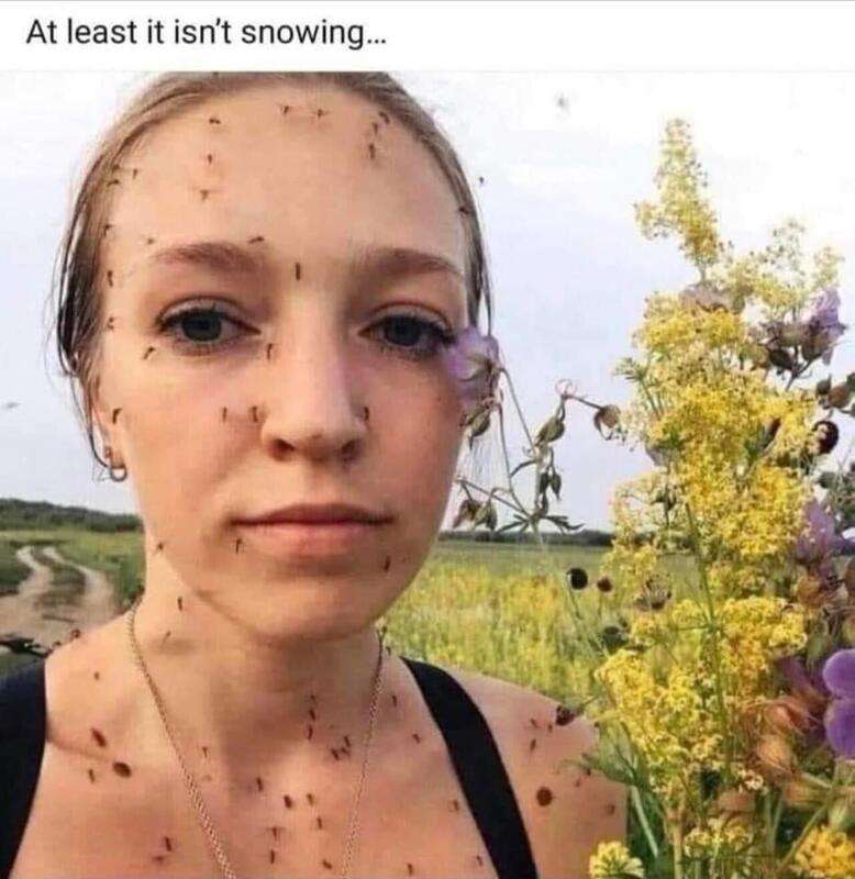 img - 2023-06-10T092938.566.