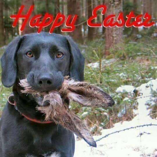 img - 2024-03-31T215222.998.