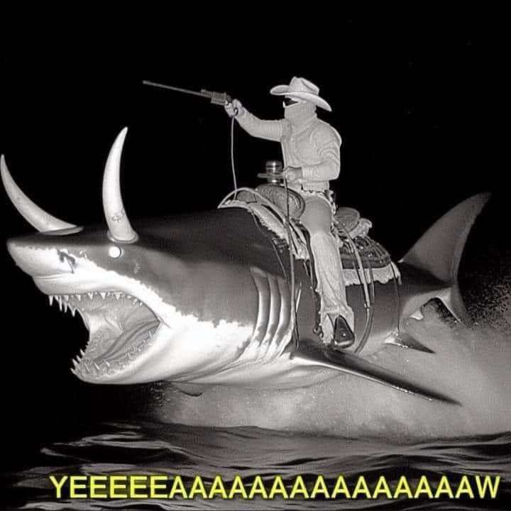 img - 2024-05-08T215346.604.