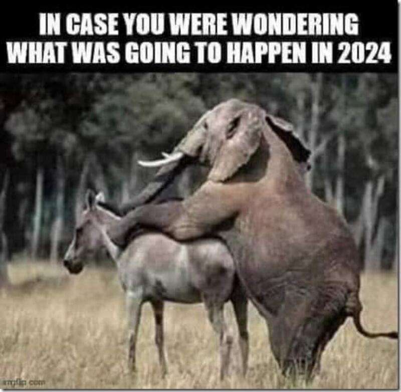 img - 2024-05-08T215557.539.