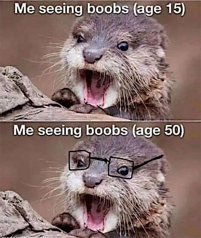 img - 2024-05-14T150249.035.