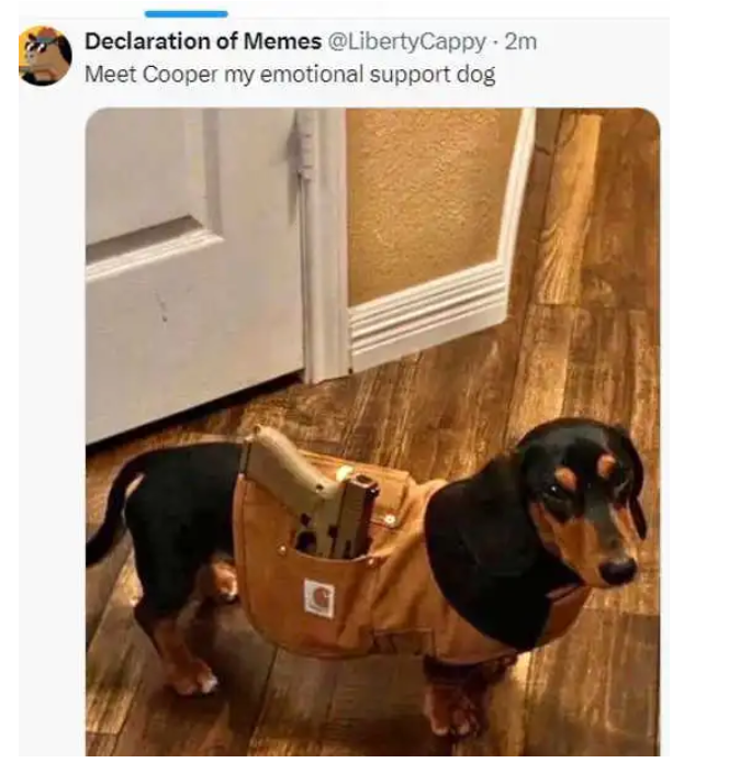 img - 2024-05-29T230326.409.