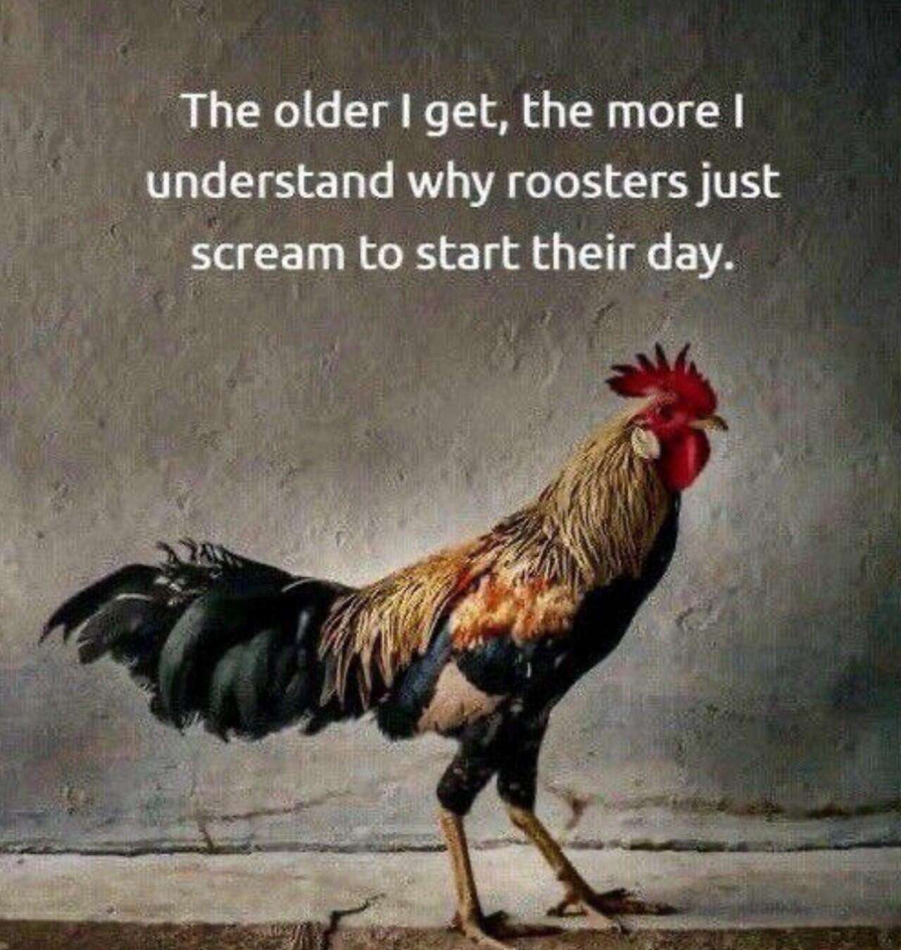 img - 2024-05-29T231228.230.