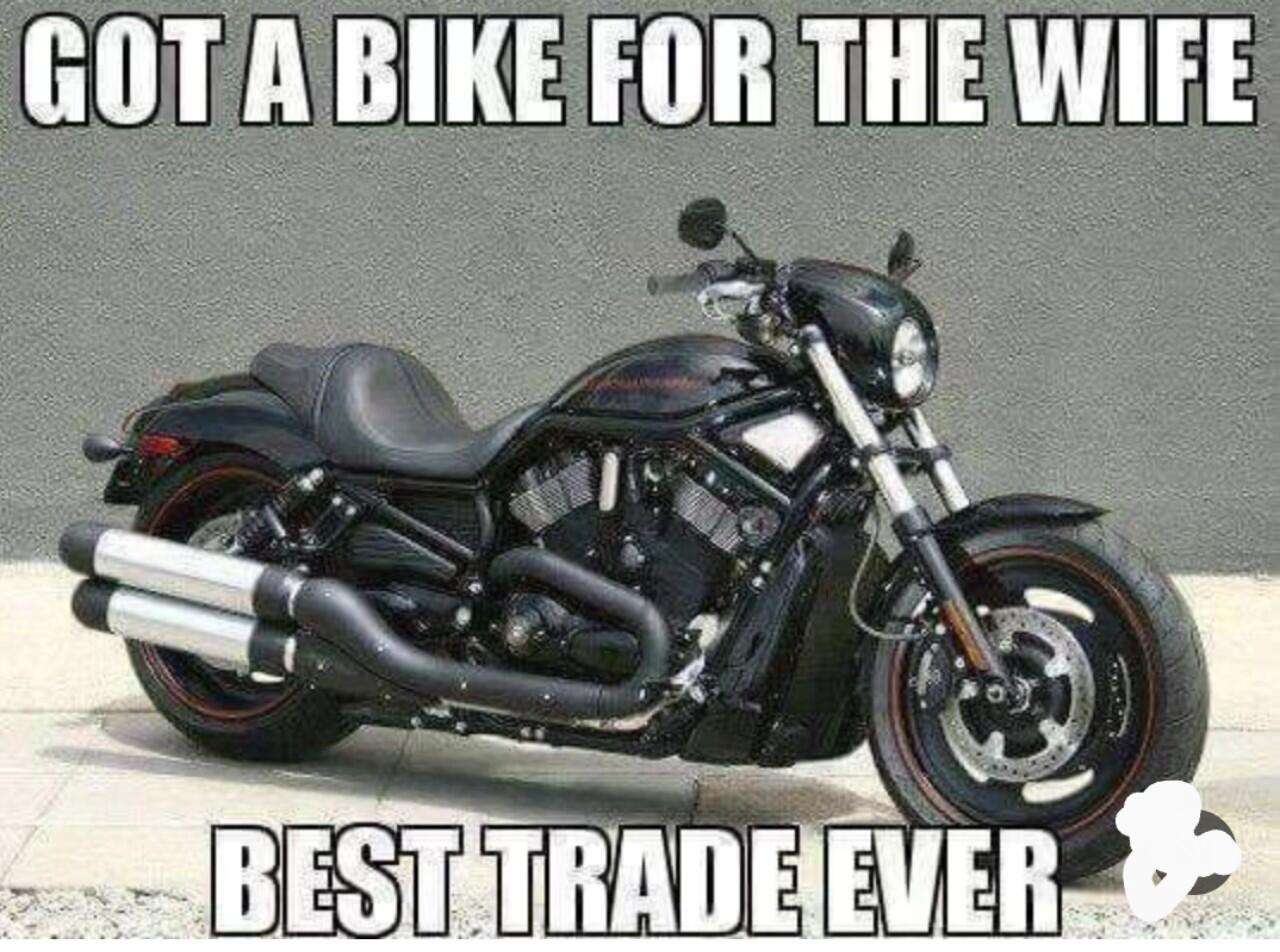 img - 2024-05-29T233130.138.