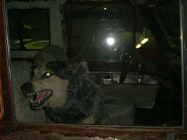 IMG08.