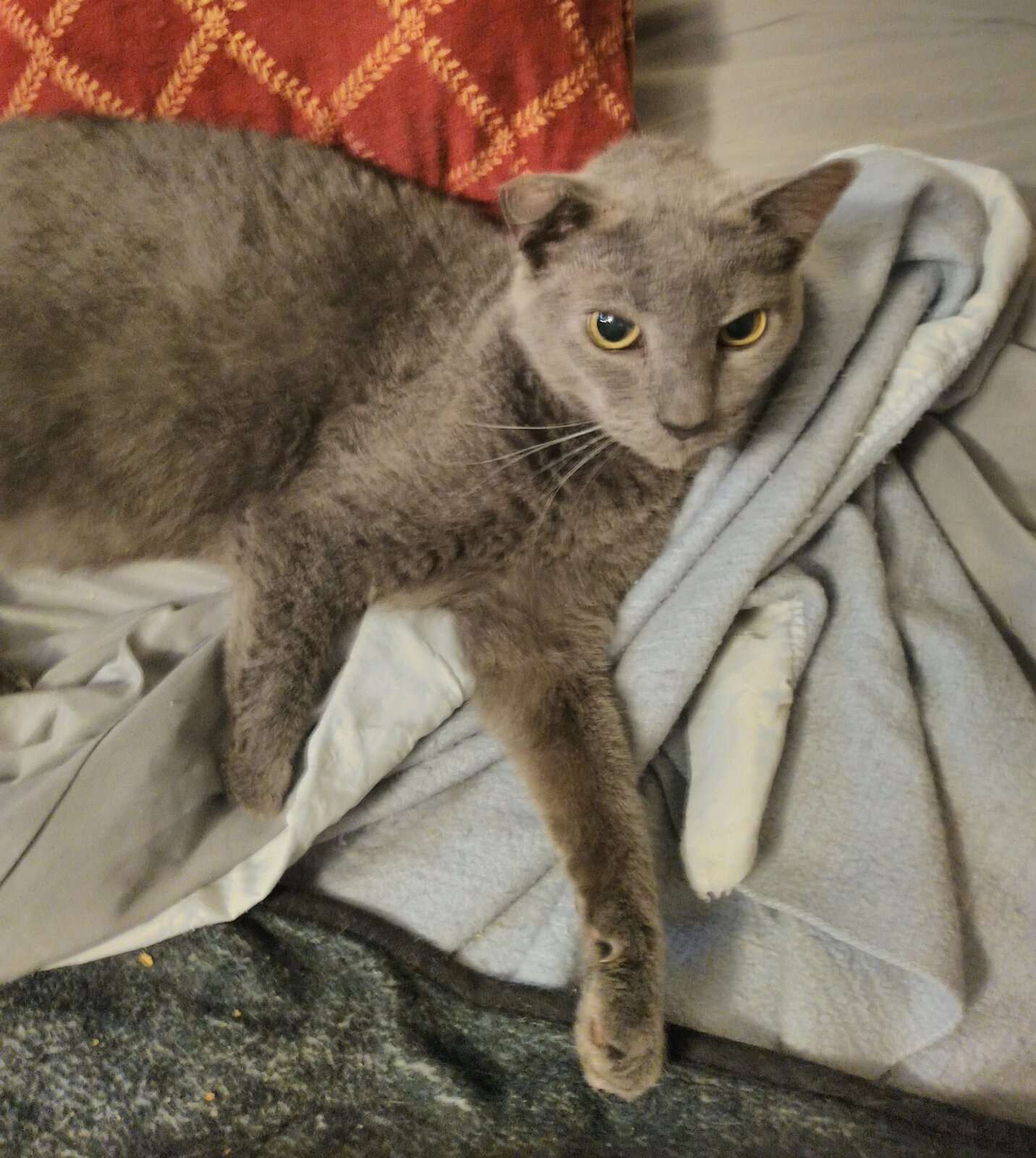 IMG_20200112_164113.