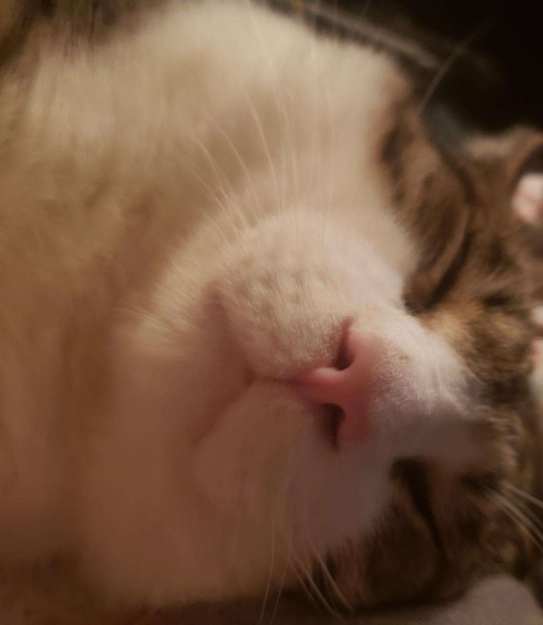 IMG_20230311_202621.