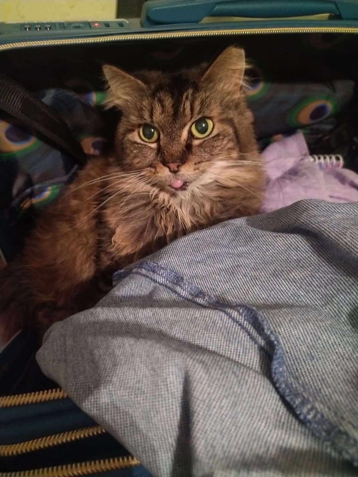 IMG_20230518_184615.