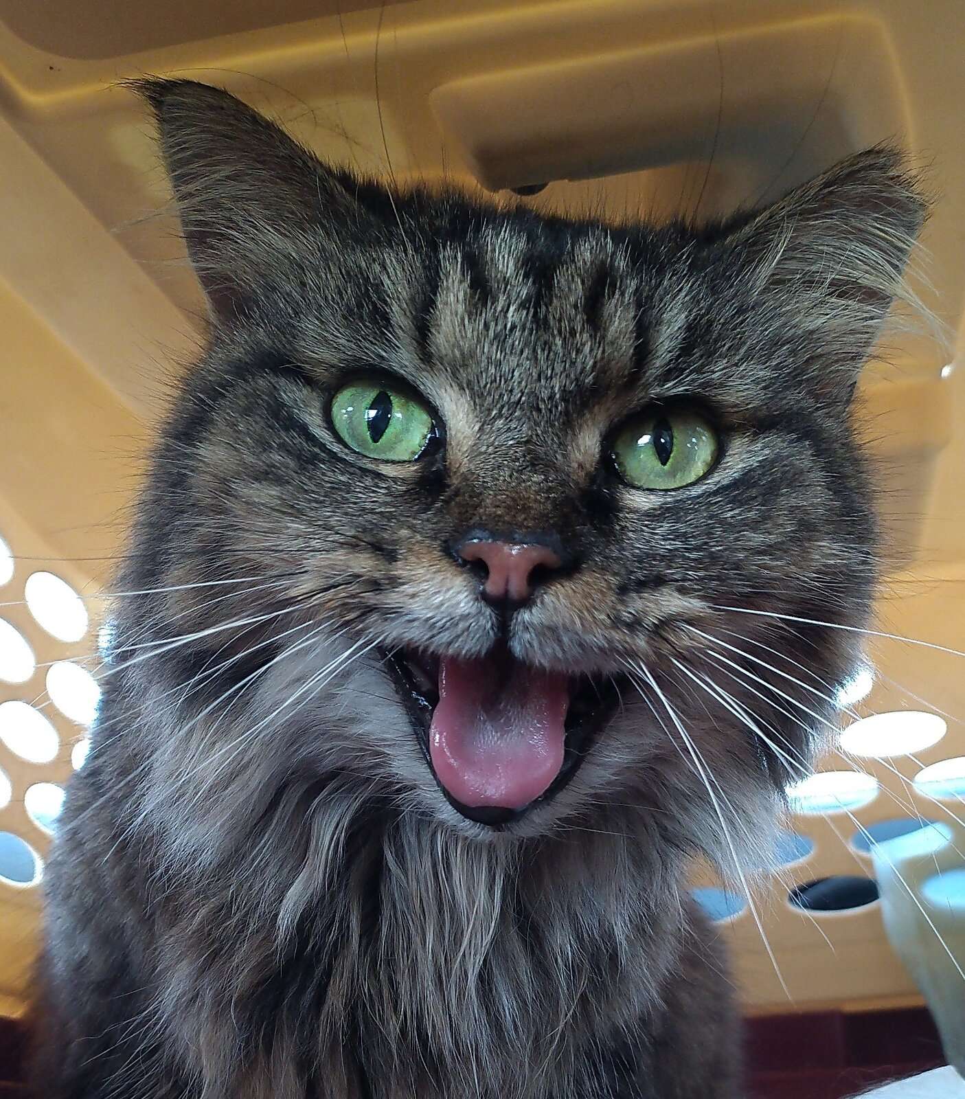 IMG_20230907_153752~2.