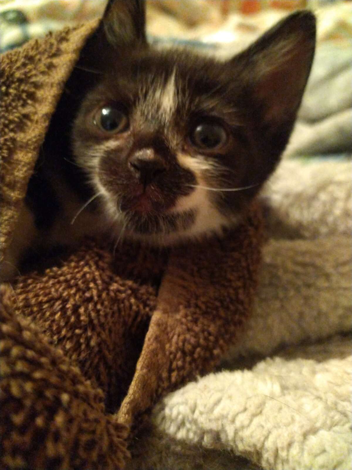 IMG_20230910_163653.