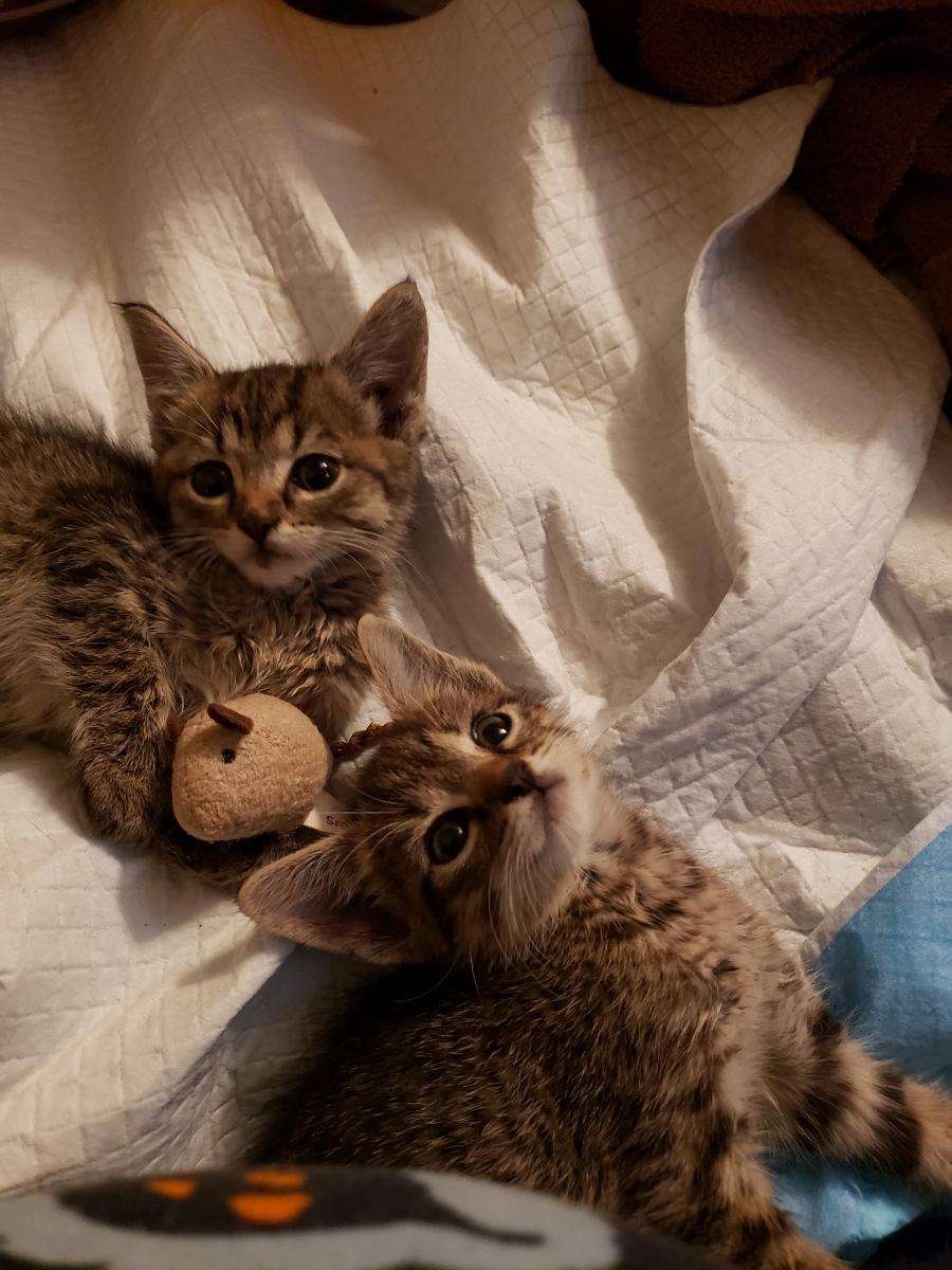 IMG_20230913_195942.