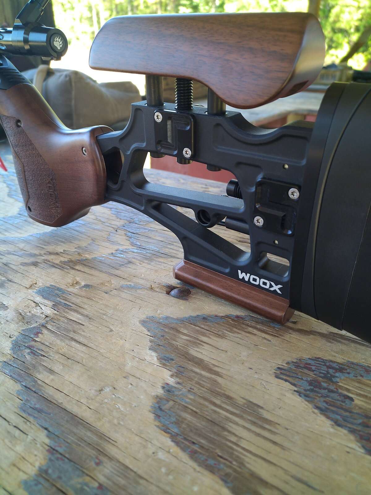 IMG_20230916_131218.