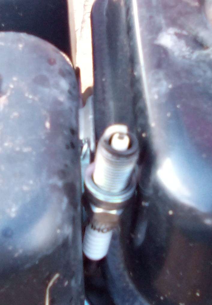 IMG_20230916_165736_2~2.