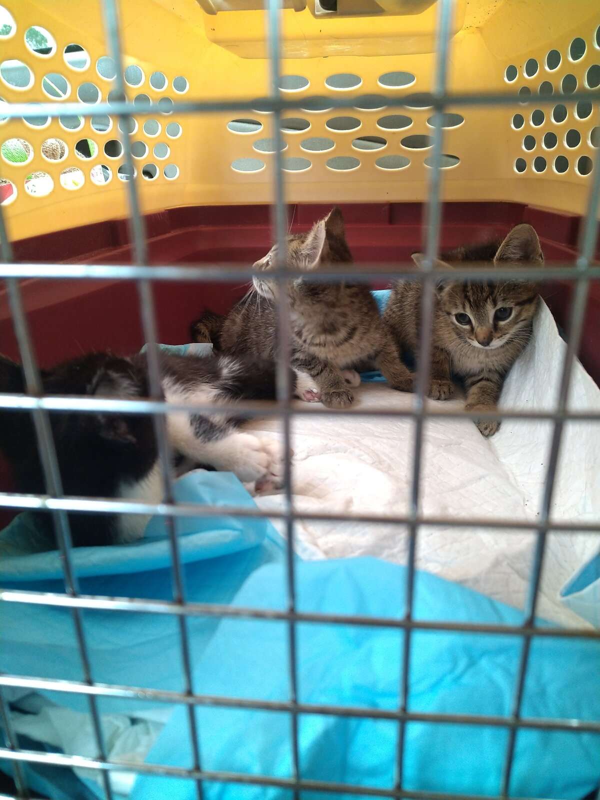 IMG_20230923_182603.