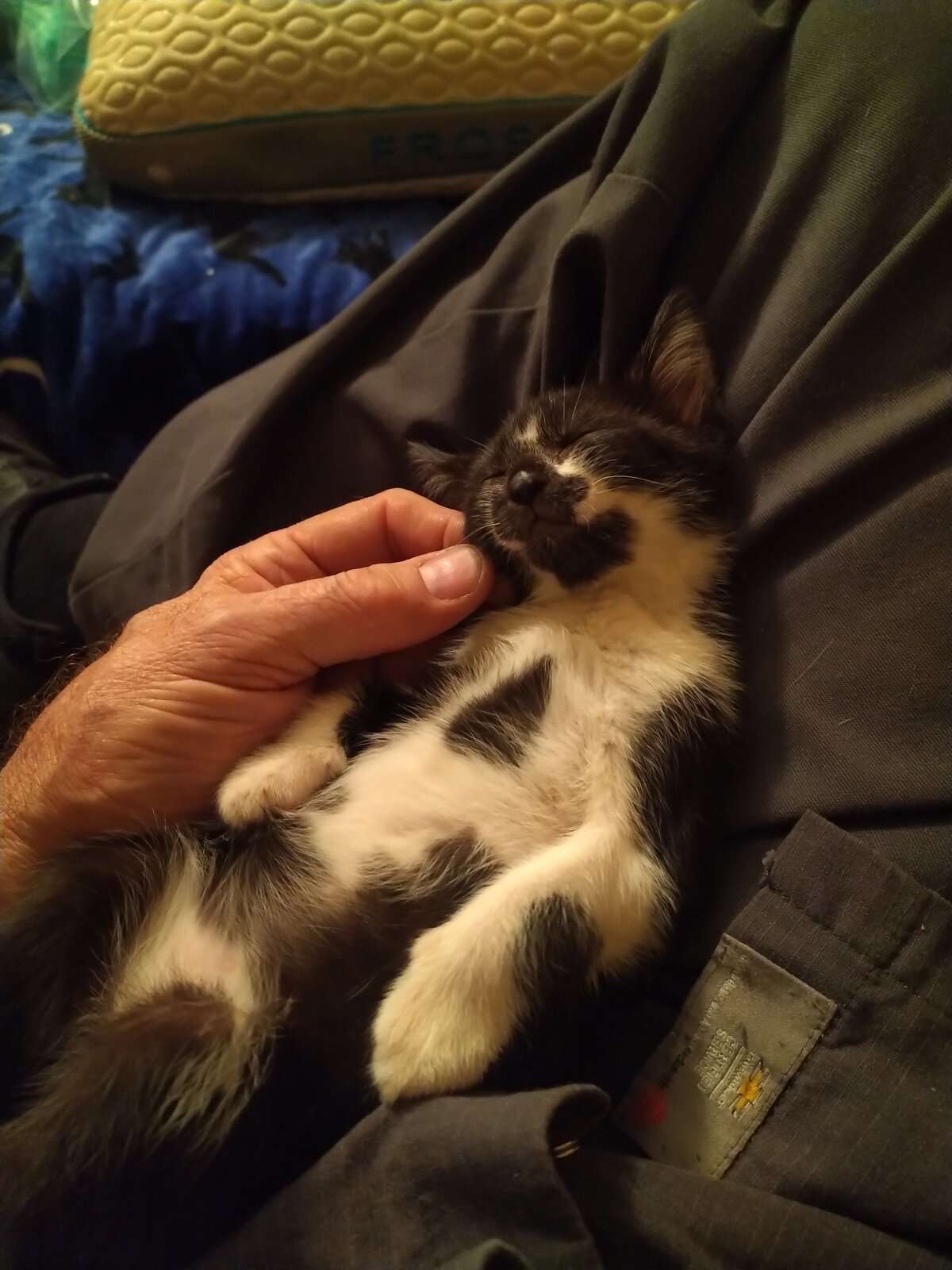 IMG_20230925_182231.