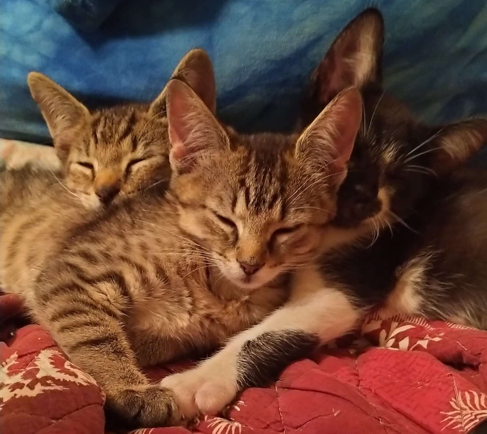 IMG_20231015_170954.