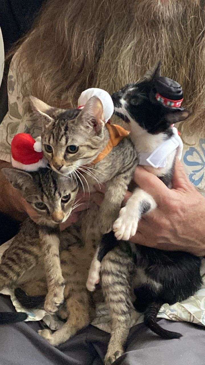 IMG_20231125_010843.