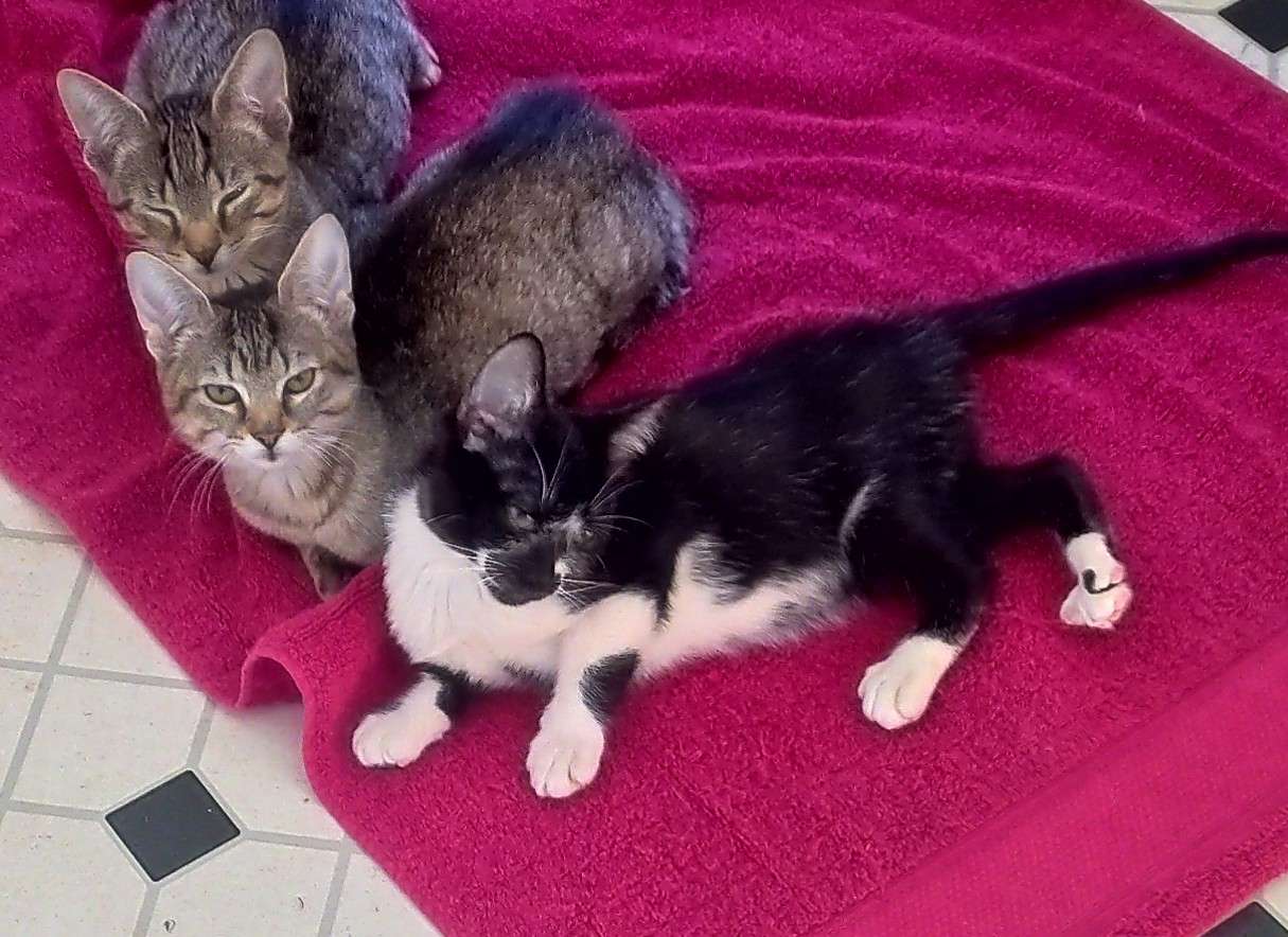 IMG_20231130_114352.