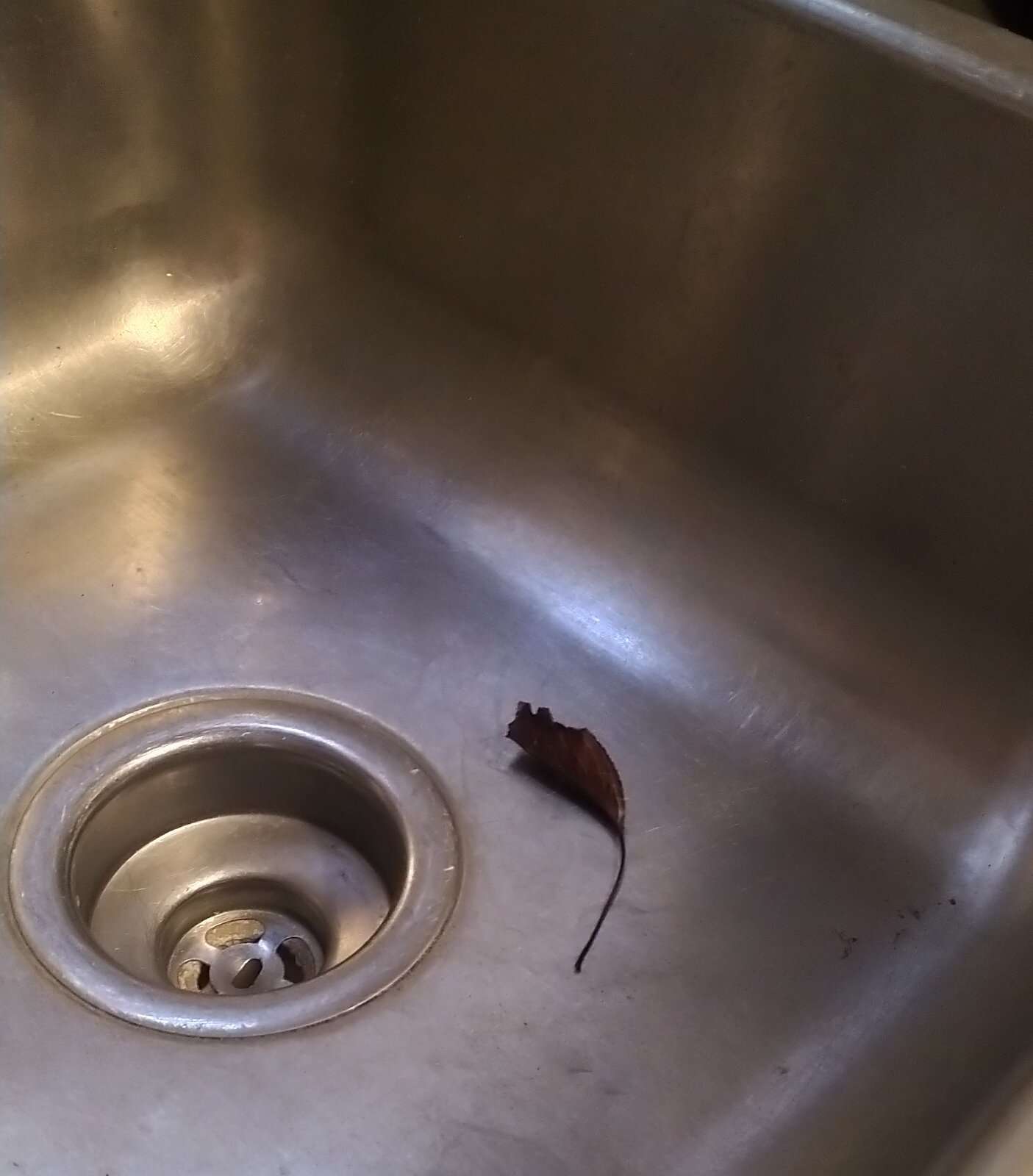 IMG_20231201_115050.