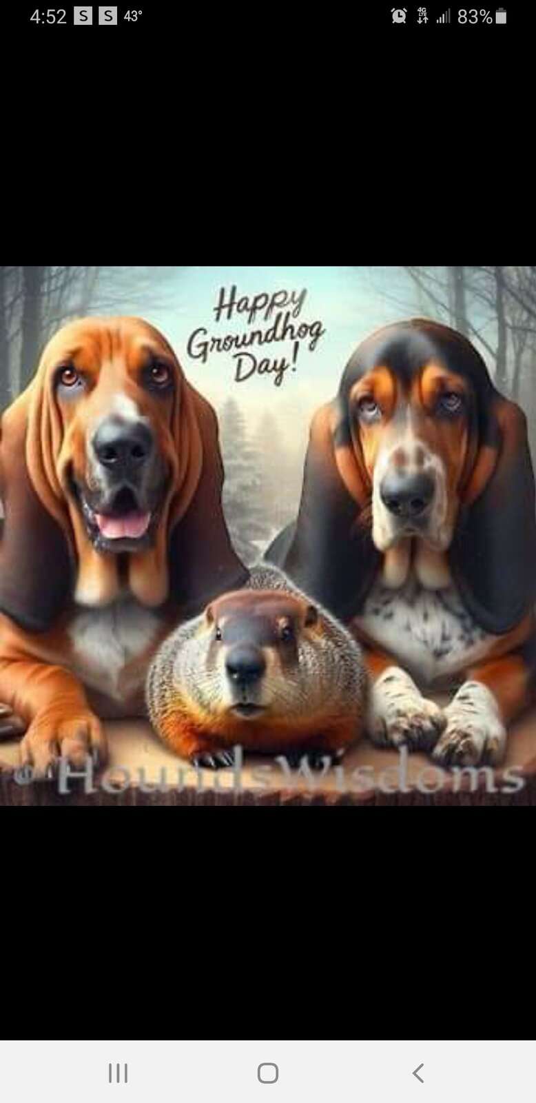 IMG_20240202_174009.